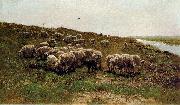 Mauve, Anton Sheep on a dyke Sweden oil painting artist